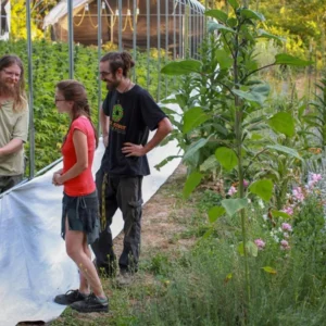 Guests on a farm tour among cannabis plants