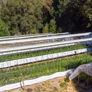 Drone view of Sol Spirit Farm greenhouses