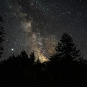 Night sky full of stars over Sol Spirit Farm