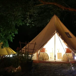 Bell tent glowing at night among the trees