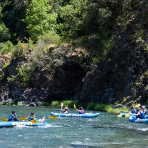 Group kayaking on a river
