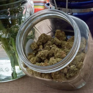 Glass jar filled with cured cannabis flowers