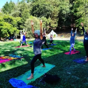 Group doing yoga on mats on the lawn at a retreat