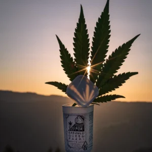 Cannabis leaf silhouetted against a sunset
