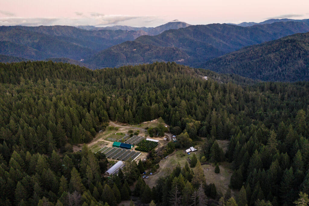 Aerial view of the farm in a forested valley with mountain ridges behind