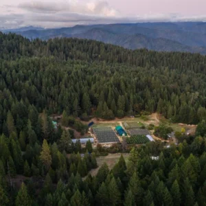 Drone view of a forested valley farm