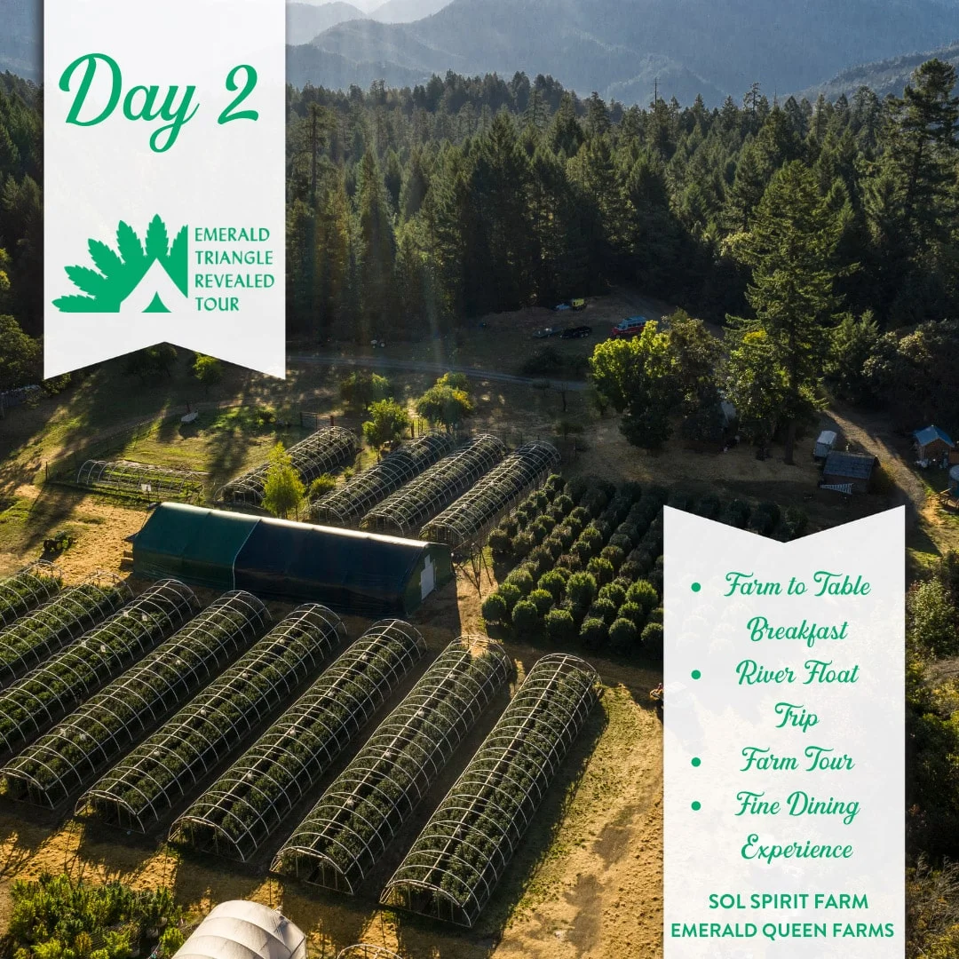 Emerald Triangle Revealed Tour day 2 itinerary over a cannabis farm
