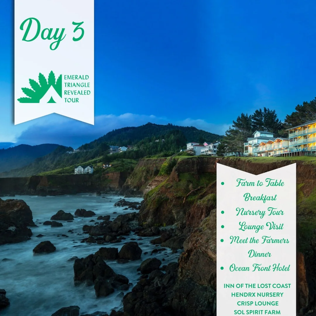 Emerald Triangle Revealed Tour day 3 itinerary over a rocky coastline