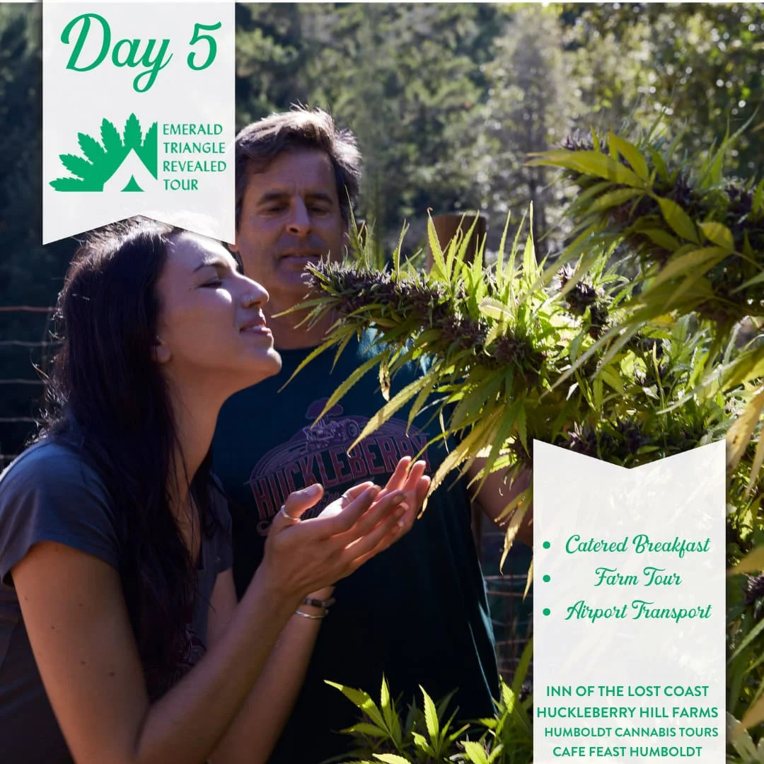 Emerald Triangle Revealed Tour day 5 itinerary with a couple outdoors