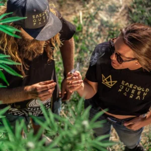Two farmers sharing a joint among cannabis plants