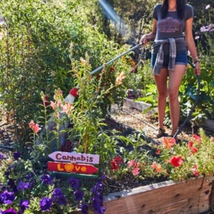 Woman watering a flower garden bed