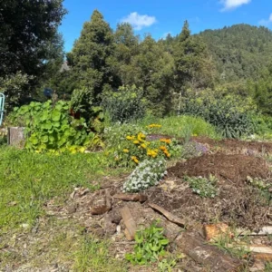 Hugelkultur garden beds at Five Sisters Farm